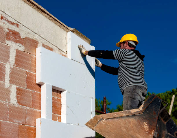 Best Geographic-Specific Insulation Services in Hunter, TN