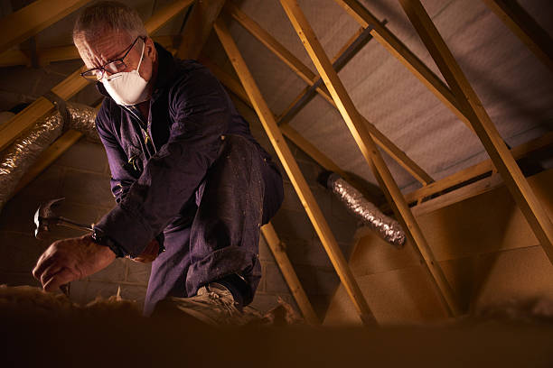 Best Blown-in Insulation in Hunter, TN