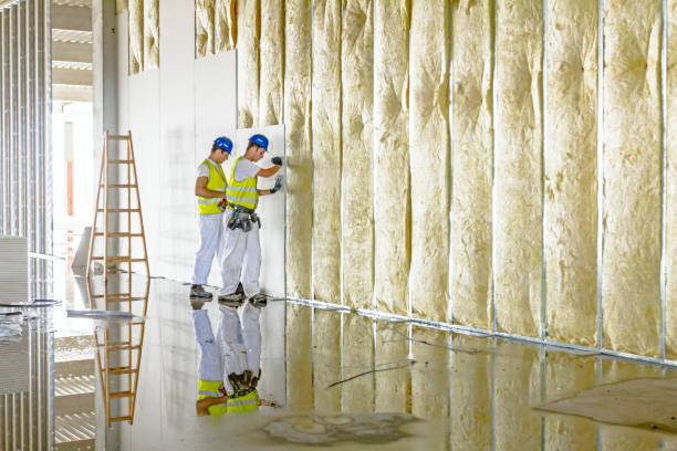 Best Insulation Maintenance and Repair in Hunter, TN